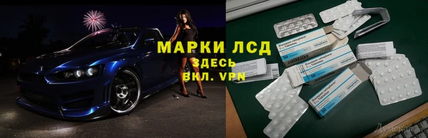трава Пересвет
