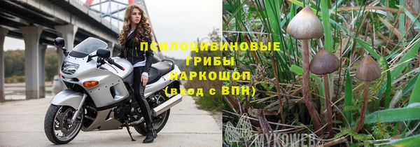 стаф Пестово