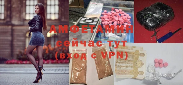 трава Пересвет