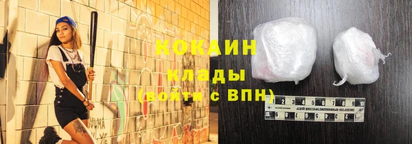 трава Пересвет