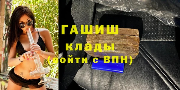 гашик Шадринск
