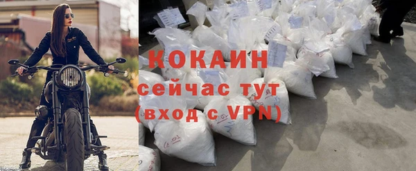 стаф Пестово
