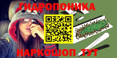 крисы Волгодонск