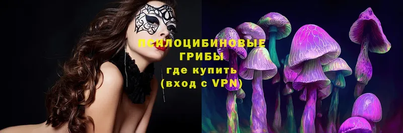 цены   Губаха  Галлюциногенные грибы MAGIC MUSHROOMS 