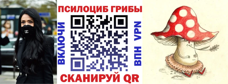 закладка  Губаха  Галлюциногенные грибы Psilocybe 