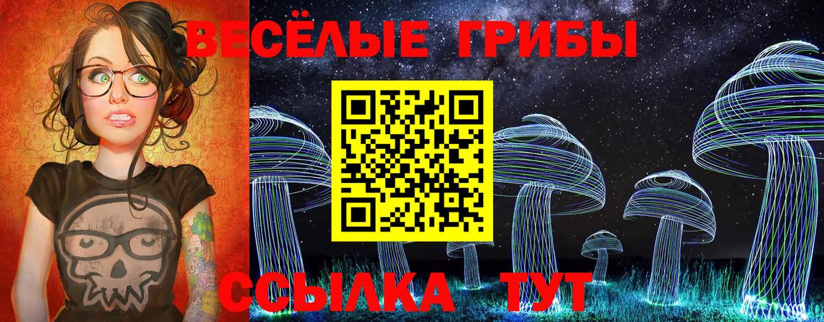 Галлюциногенные грибы Psilocybine cubensis Губаха